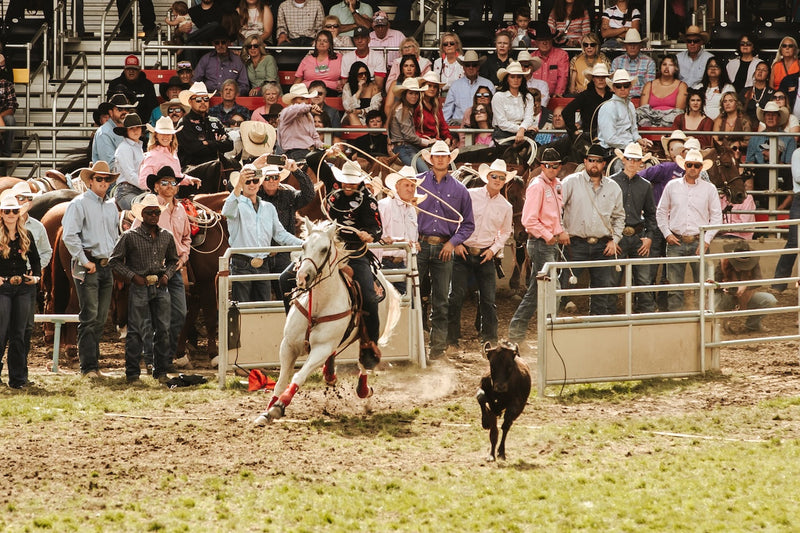 Boots on the Ground at the Pendleton Round-Up