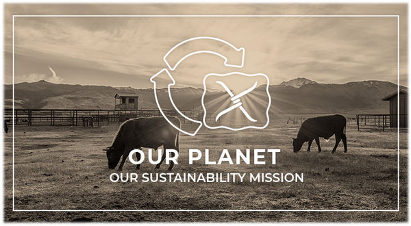 Our Planet Our Sustainability Mission